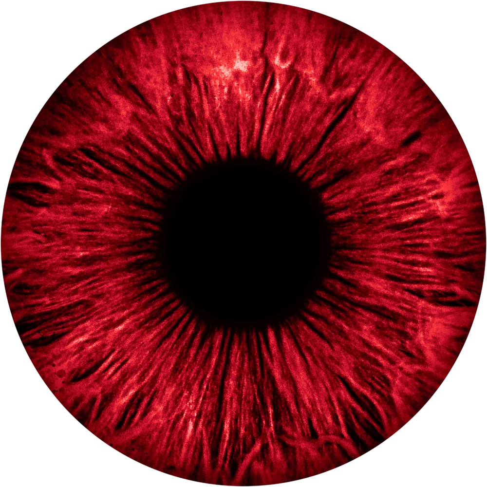 L’iris d’Arden, recoloré en rouge